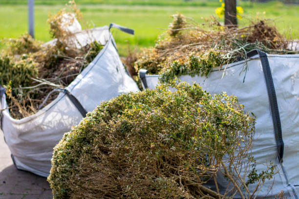 Best Affordable Junk Removal Services  in Oakwood, OH